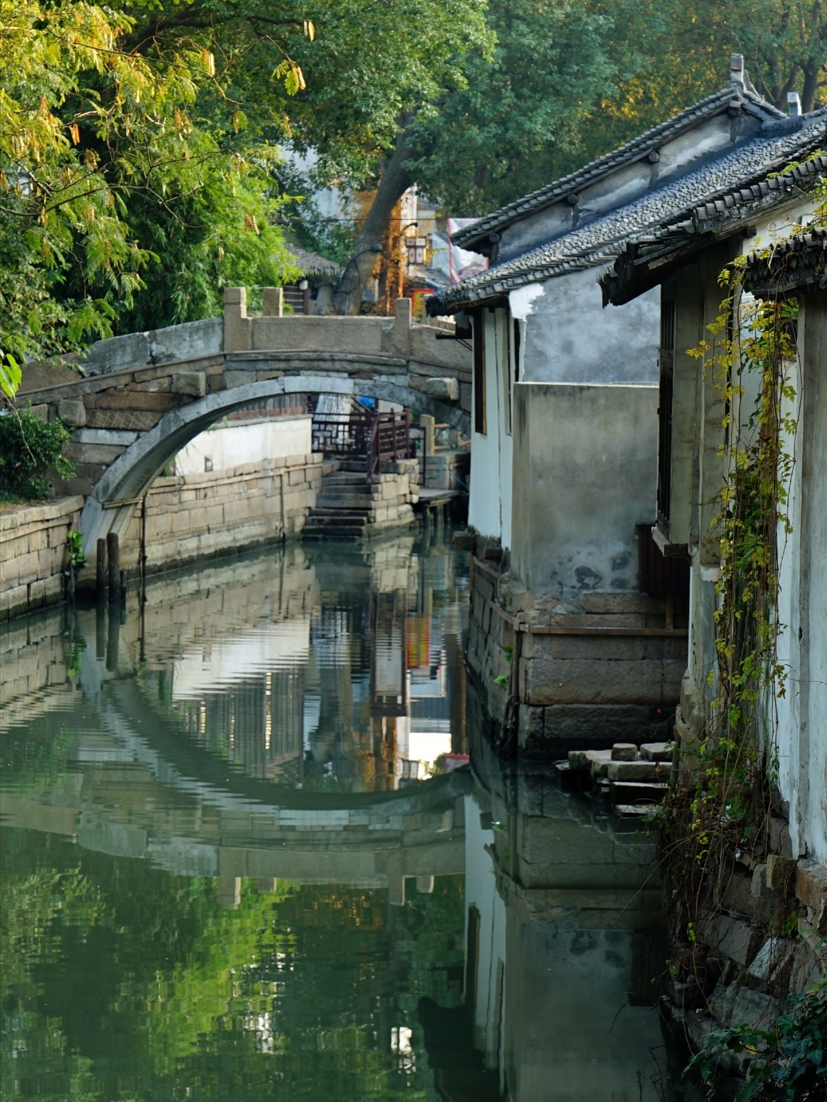 IMG_20201224_191844.jpg IMG_20201224_191844.jpg