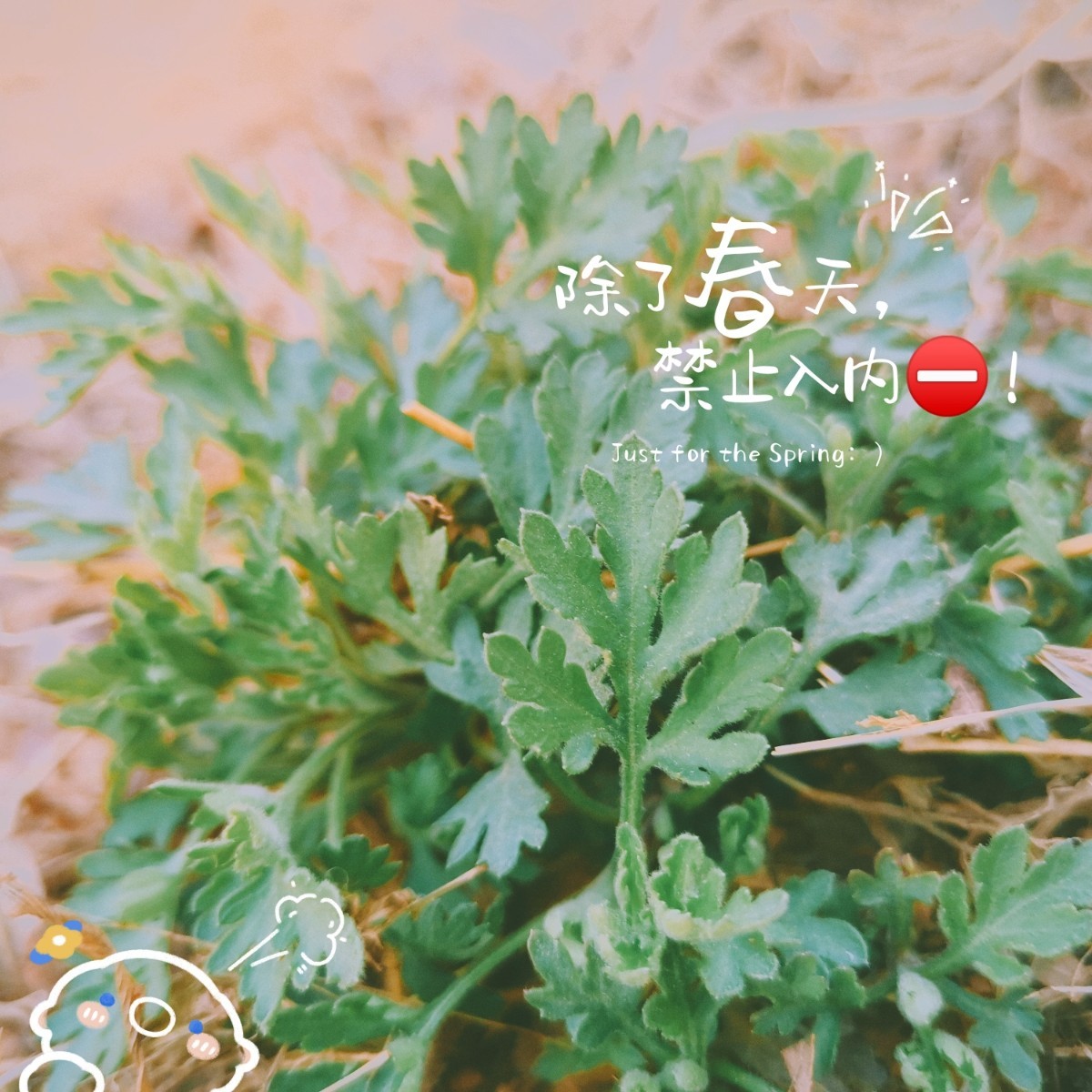 參賽7.jpg 參賽7.jpg