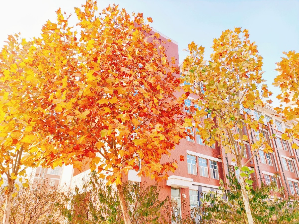 QQ圖片20201205101112.jpg QQ圖片20201205101112.jpg