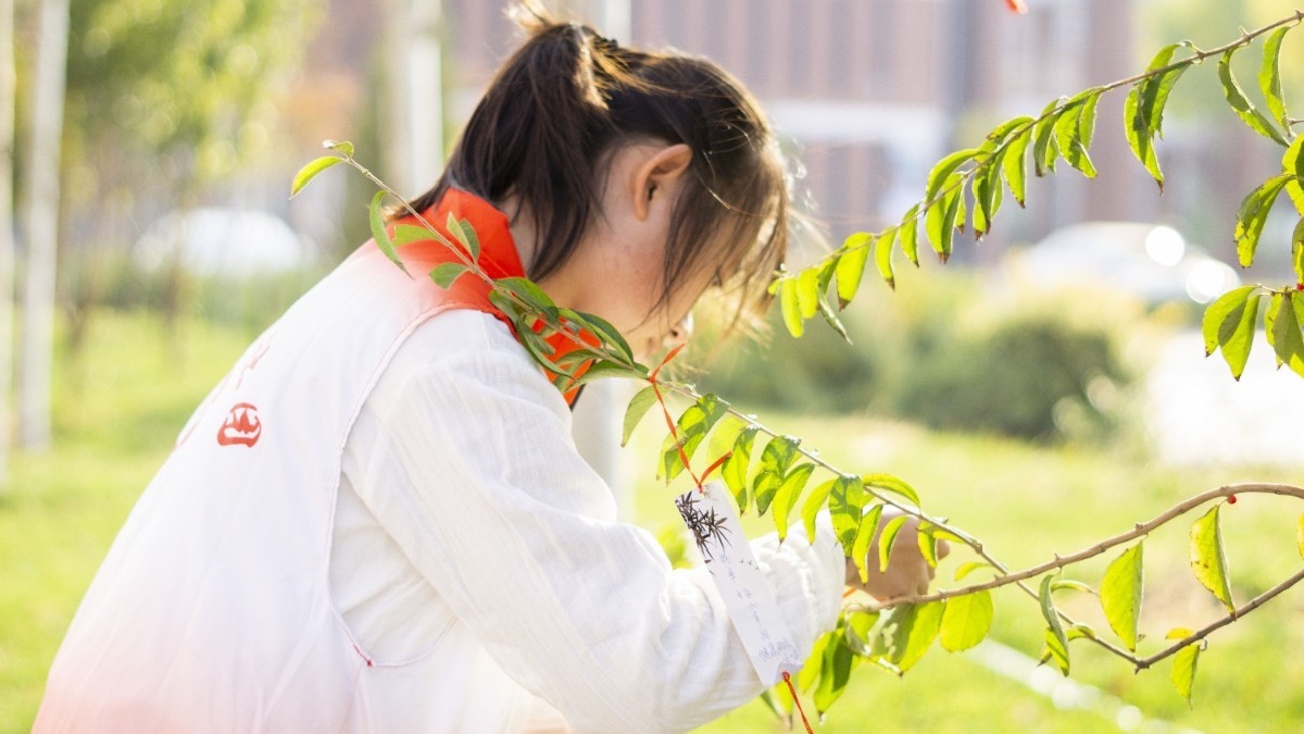 QQ圖片20201206224419.jpg QQ圖片20201206224419.jpg