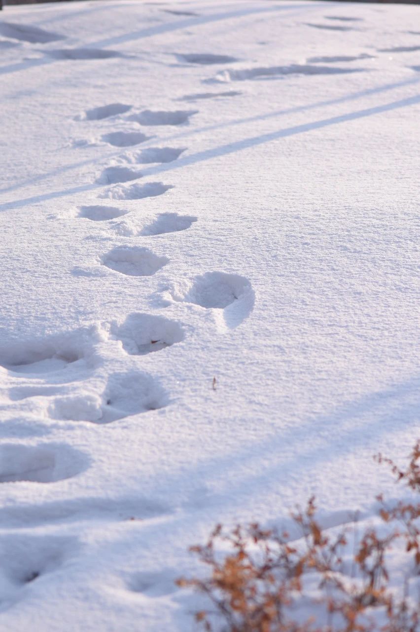 冬 學(xué)地 腳印.jpg