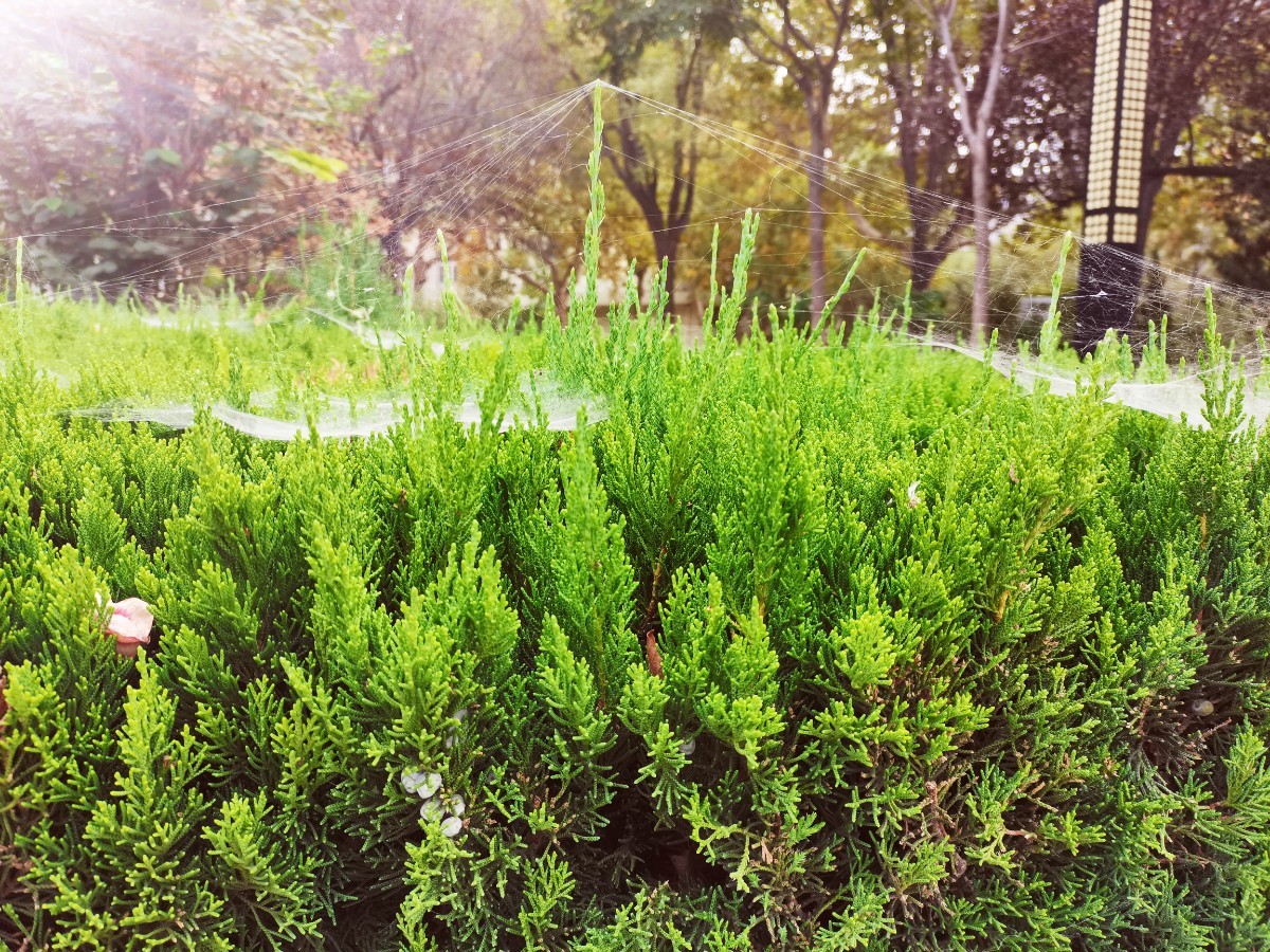 IMG_20201009_162116.jpg IMG_20201009_162116.jpg