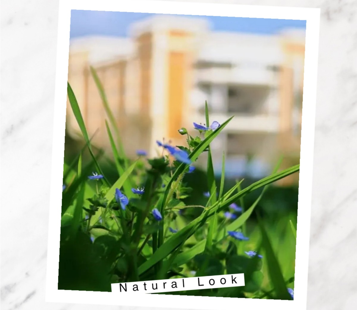 FB6C9F9FFE4DED176C0A3D304FB0C2D4.jpg FB6C9F9FFE4DED176C0A3D304FB0C2D4.jpg