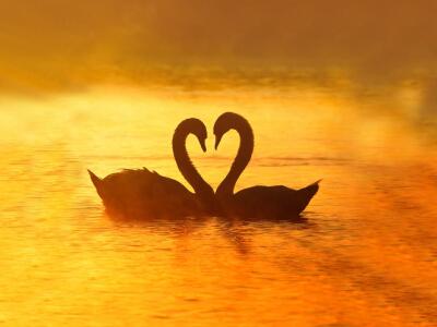 weimeirz.jpg weimeirz.jpg