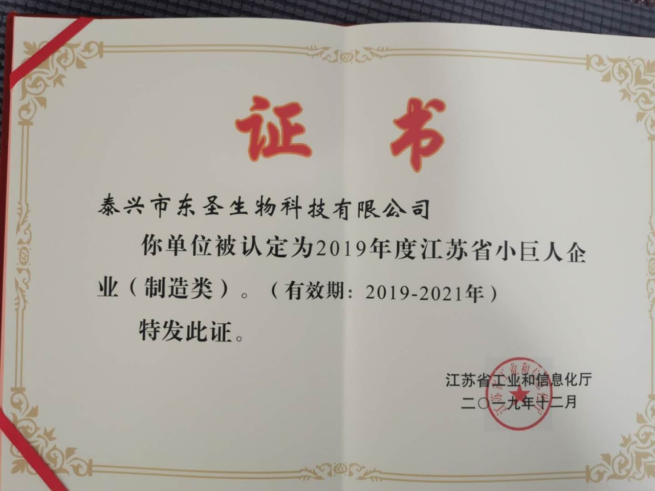 小巨人企业荣誉证书2019.jpg