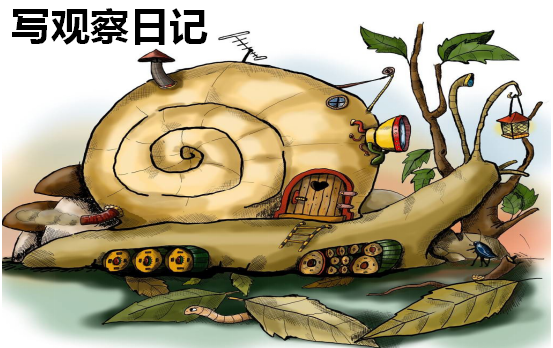 图片5.png 图片5.png