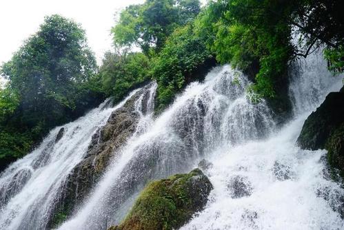 u=1427135354,531399574&fm=11&gp=0 (1).jpg