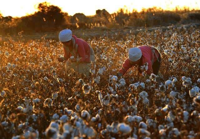 203fb80e7bec54e7c298168ead7da4584ec26af3