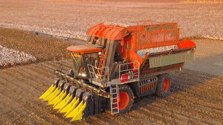 640 (1).gif 640 (1).gif