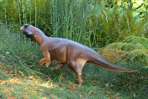 psittacosaurus.jpg