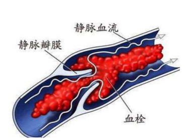 图片8.png 图片8.png