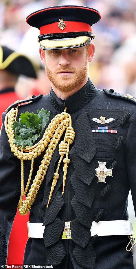 41765926-9472089-Prince_Harry_in_his_military_uniform_in_2019-a-44_1618448457225.jpg