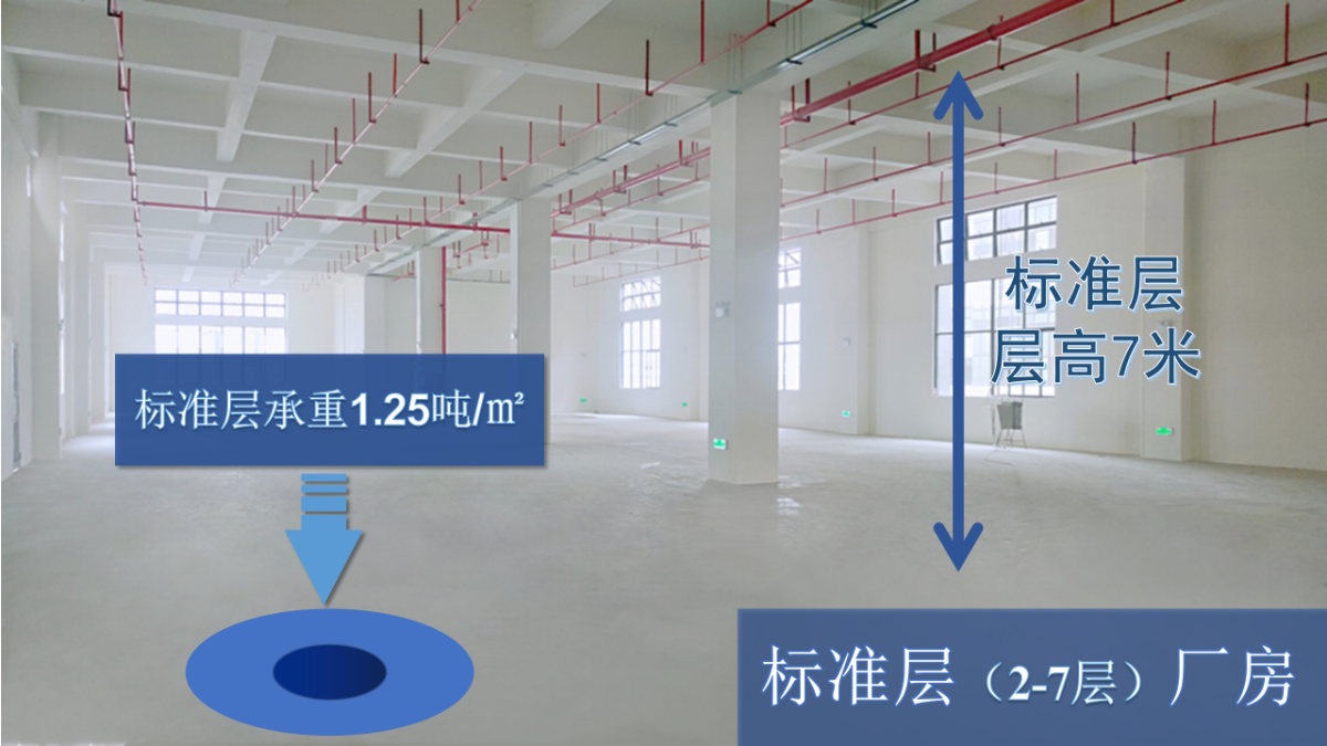 标准层厂房PPT_01.png