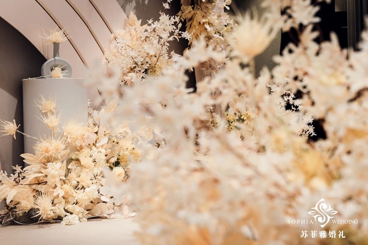 fd5975aa0fe51c17795b050116bd292.jpg fd5975aa0fe51c17795b050116bd292.jpg