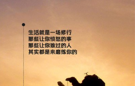 慧子预言：11.21比特币多头猛攻,后市是再创新高还是瀑布...