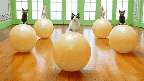 微信图片_20201029104348.gif