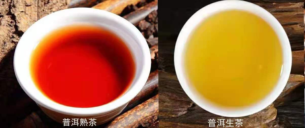普洱茶属于什么茶类 是红茶 绿茶还是黑茶呢 玉苍之南