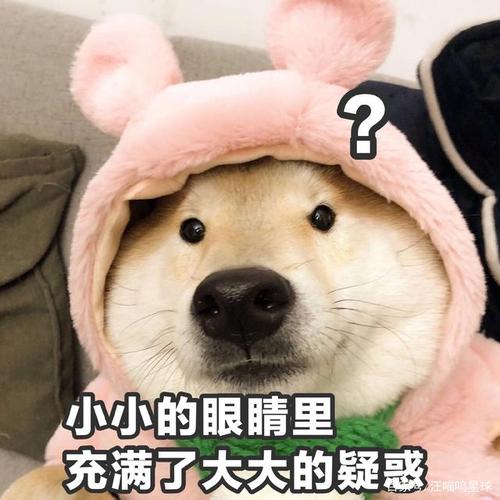 u=3817464026,2992206560&fm=26&gp=0.jpg