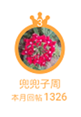 兜兜.png 兜兜.png