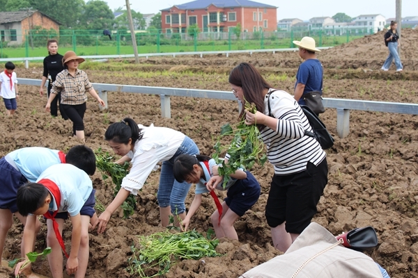 课堂移到户外，劳动增进亲情——知源学校小学部举行亲子拓展劳动实践活动