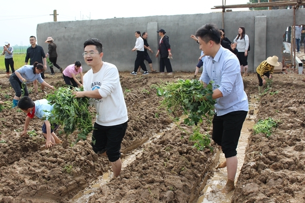 课堂移到户外，劳动增进亲情——知源学校小学部举行亲子拓展劳动实践活动