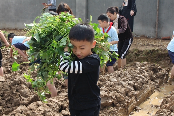 课堂移到户外，劳动增进亲情——知源学校小学部举行亲子拓展劳动实践活动