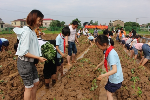 课堂移到户外，劳动增进亲情——知源学校小学部举行亲子拓展劳动实践活动