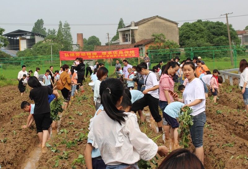 课堂移到户外，劳动增进亲情——知源学校小学部举行亲子拓展劳动实践活动