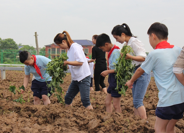 【阳光招生】小班制、高品质，就在知源学校一年级