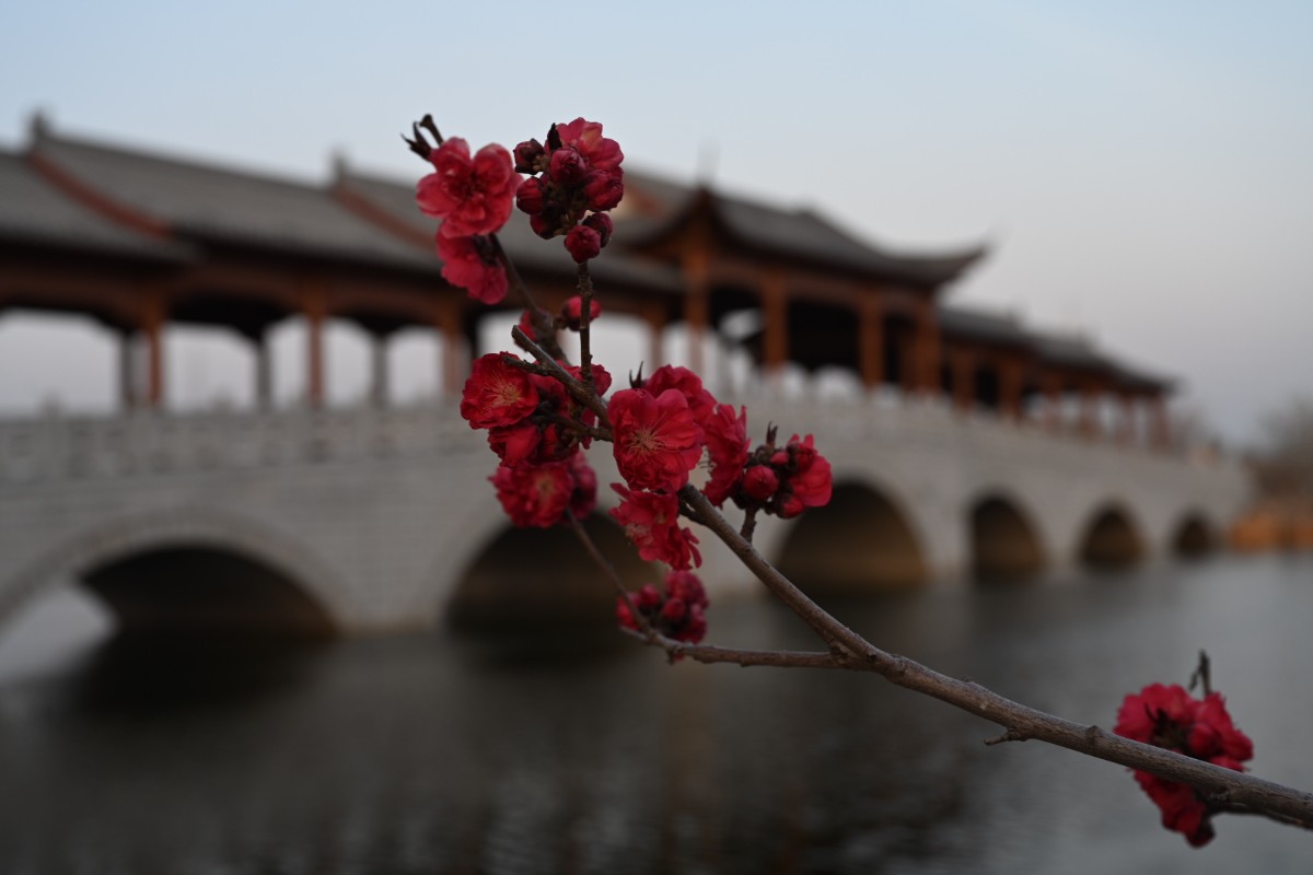 沁园春61睢县铁佛寺湖