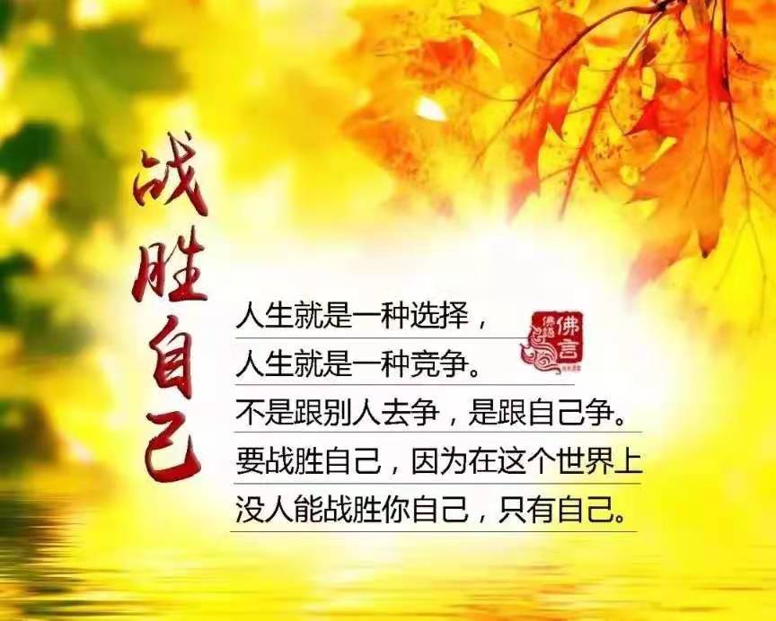 微信图片_20210223171907.jpg