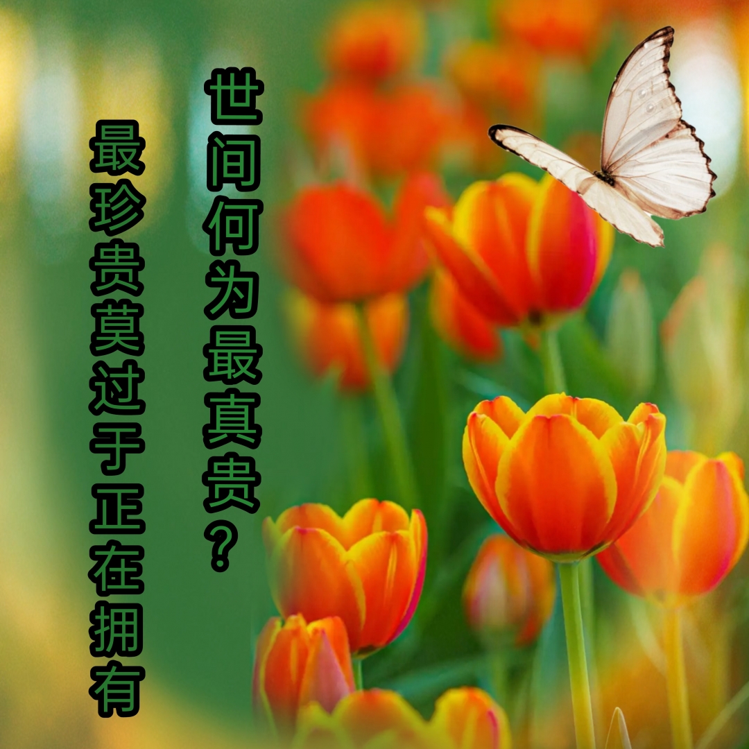 955552019ED751AB8070D325911AE7AA.jpg