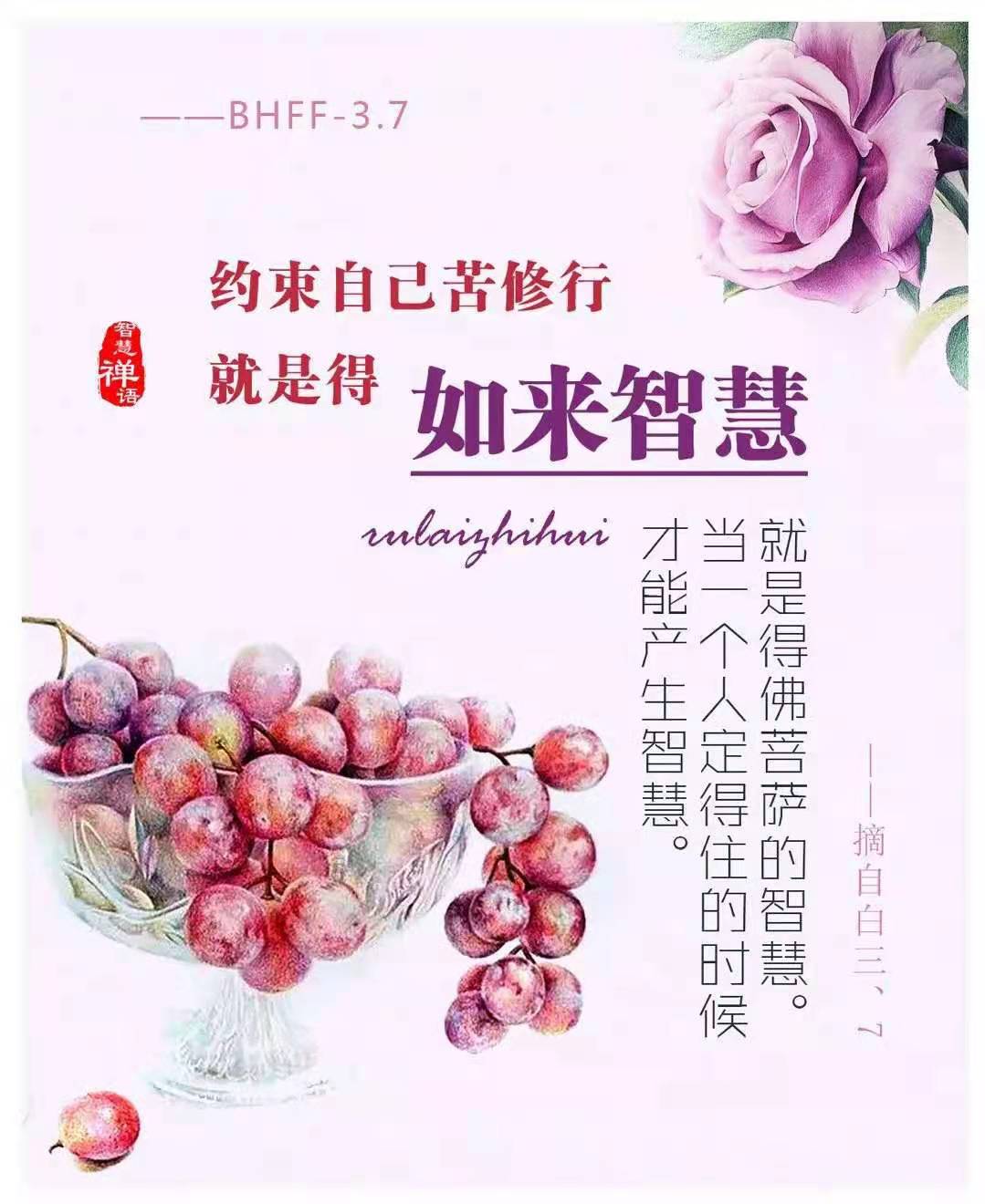 微信图片_20210317225439.jpg