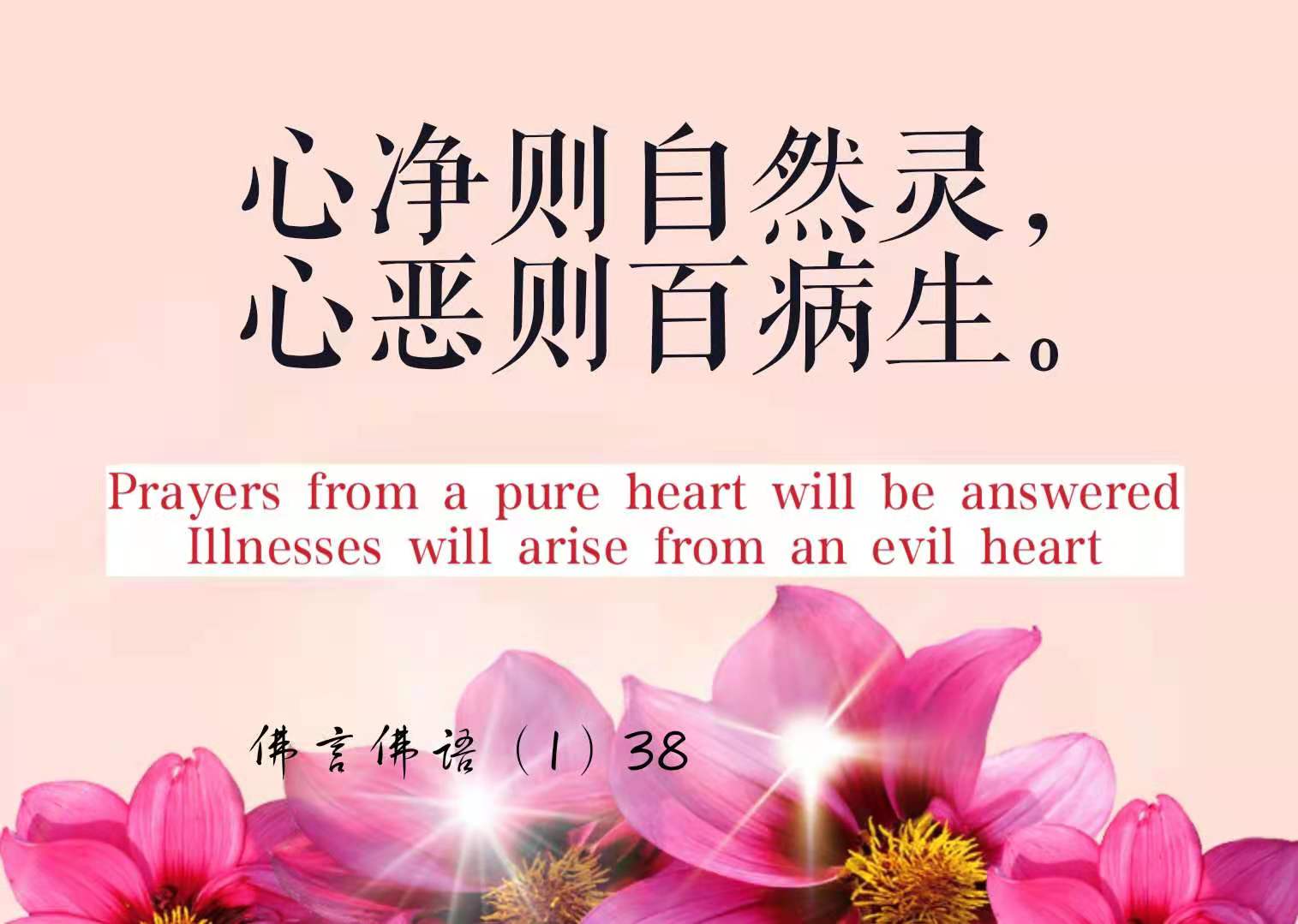 微信图片_20210505211902.jpg