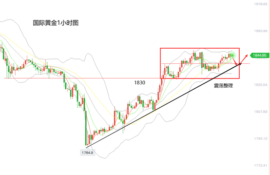 黄力晨：新春将至 黄金价格持续上涨