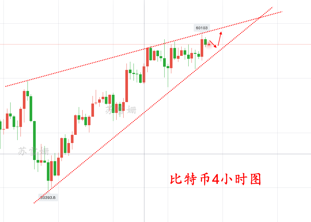 苏雪姗：4.2上破六万已成趋势！回落后直接进多，上方还有大空间！1