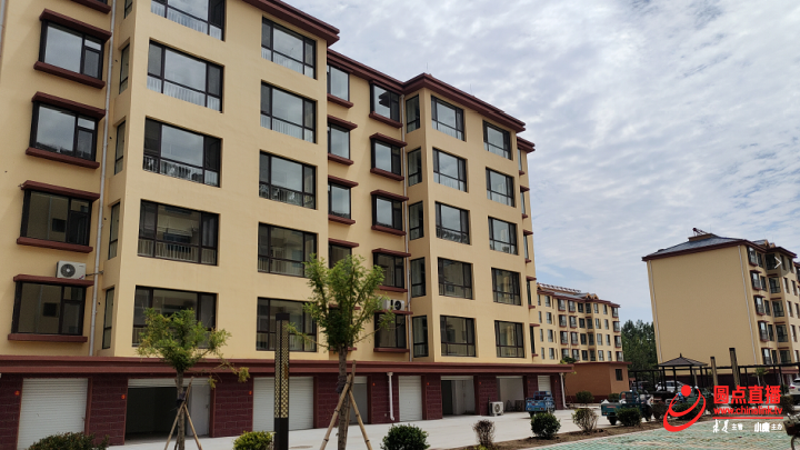 这就是高青乡村振兴百村行3高青县高城镇闫庄村勤劳致富靠双手02