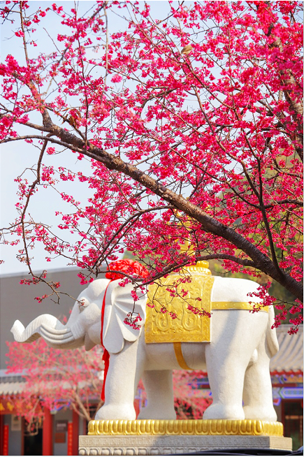 微信图片_20210125184047.png 微信图片_20210125184047.png