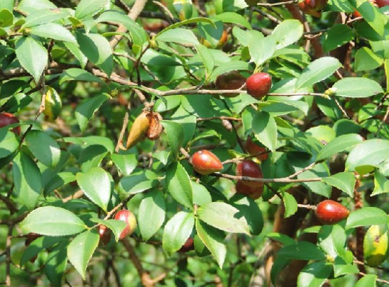 src=http_%2F%2F5b0988e595225.cdn.sohucs.com%2Fimages%2F20171016%2F2b658607c4b2456a920931ab1f0d75fd.jpeg&refer=http_%2F%2F5b0988e595225.cdn.sohucs.jpg src=http_%2F%2F5b0988e595225.cdn.sohucs.com%2Fimages%2F20171016%2F2b658607c4b2456a920931ab1f0d75fd.jpeg&refer=http_%2F%2F5b0988e595225.cdn.sohucs.jpg