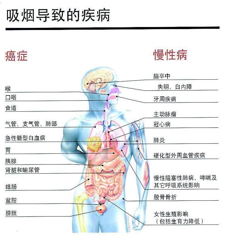 健康知识普及行动系列科普知识讲座之控烟行动篇