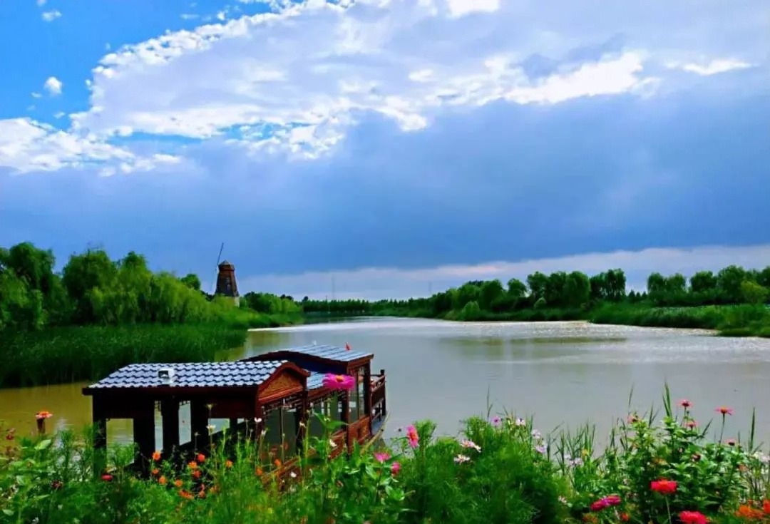 乘船穿行在高青县天鹅湖"国际慢城"的湿地中满眼都是醉人的景色天鹅湖