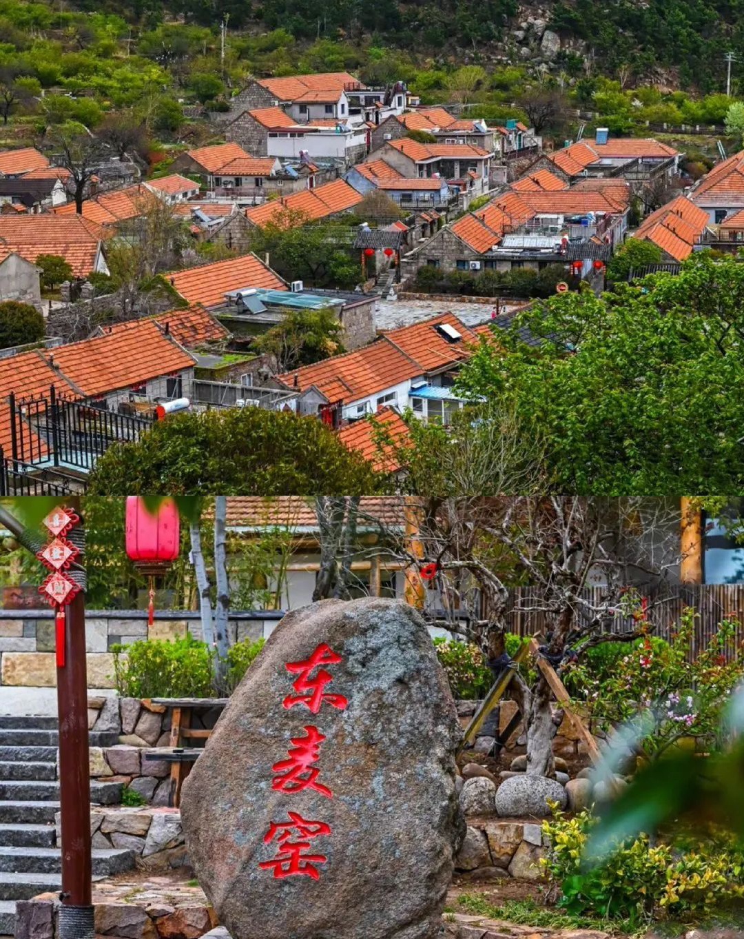 美丽乡村行诗意而居归复自然带你领略齐鲁乡村风情