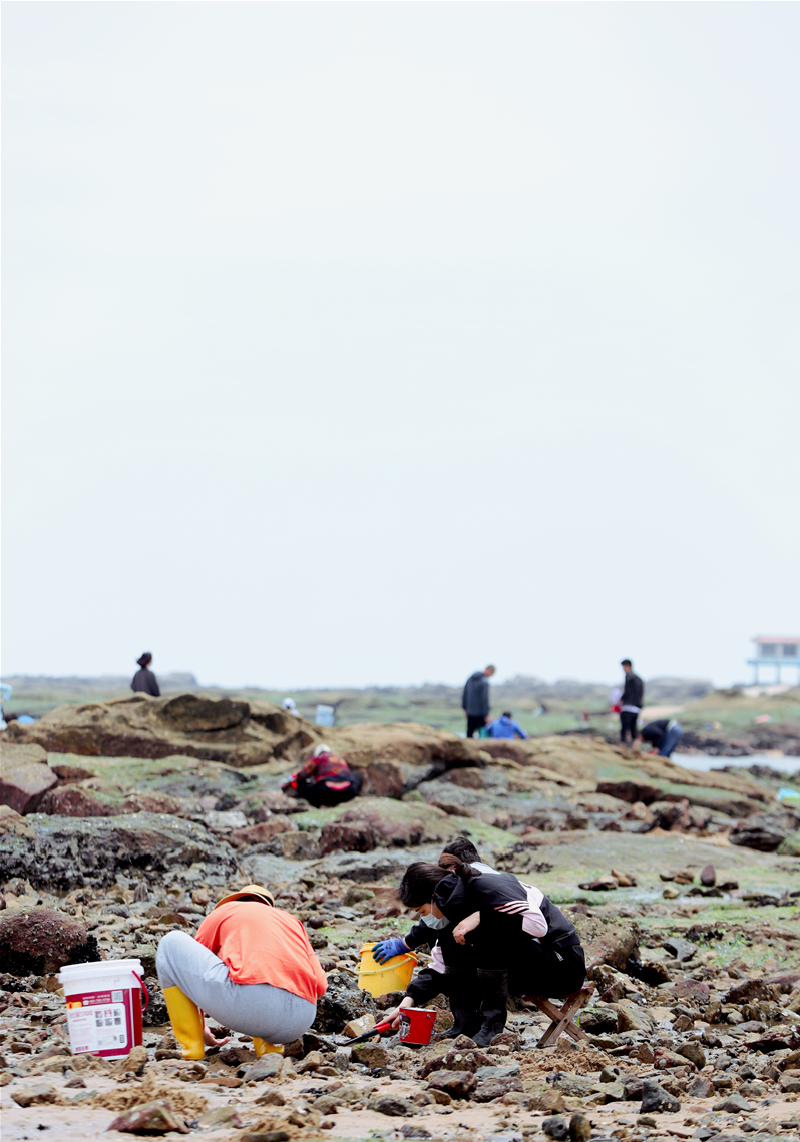 走赶海去奉上日照赶海胜地
