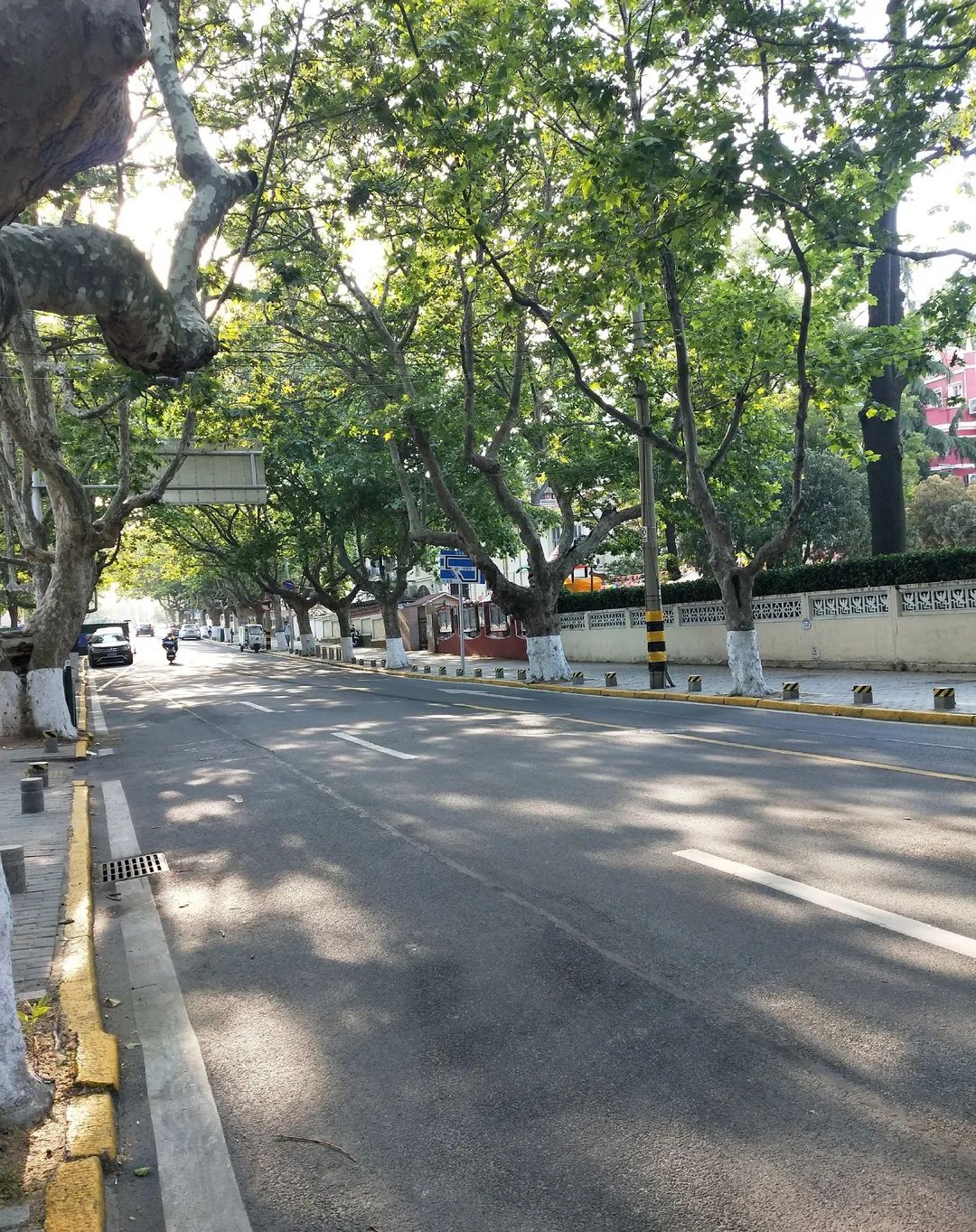 老城复兴丨青岛百年湖南路让我读懂你的样子