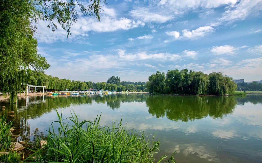 码好这些室外空调房来青岛城阳花式避暑