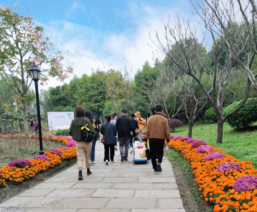 花之约 花之海 花之恋 我们和秋天有个约会 浙江金峨生态建设有限公司官方网站 匠心创造完美缔造生态之福